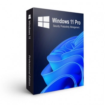 Windows 11 Pro - Suport USB
