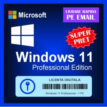 Windows 11 Professional - Licenta digitala